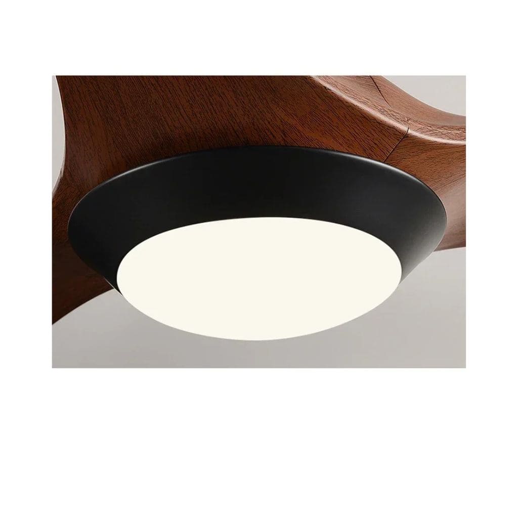 Ventilateur de Plafond Aérolux LED